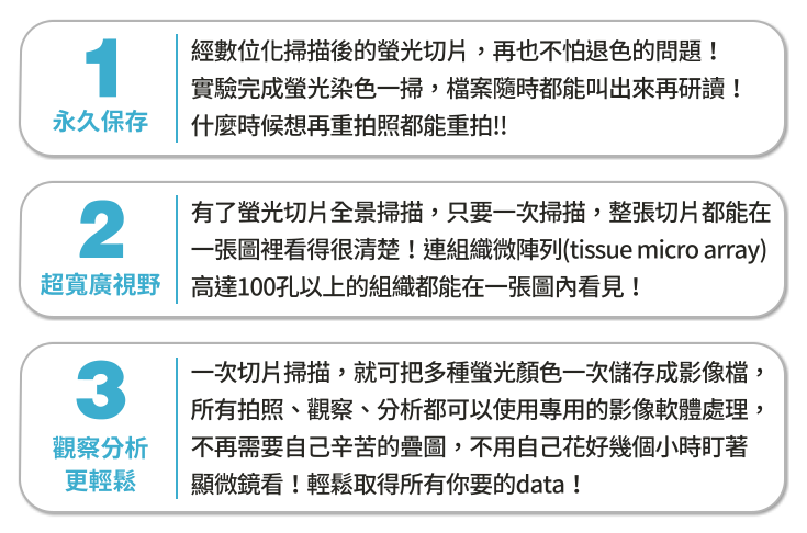 免疫螢光染色技術的應用 螢光顯微鏡在生物學中的應用 如何進行免疫螢光染色實驗 蛋白質定位的最佳技術 免疫螢光染色數據分析方法 螢光染色技術的優勢與挑戰 高靈敏度的免疫染色技術 多重標記的免疫螢光染色 免疫螢光染色在細胞分析中的應用 螢光顯微鏡與圖檔掃描技術